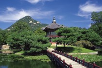 黑客盗QQ号神器app（黑客盗号免费不收钱）