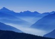 黑客盗QQ号神器app（黑客盗号神器软件）